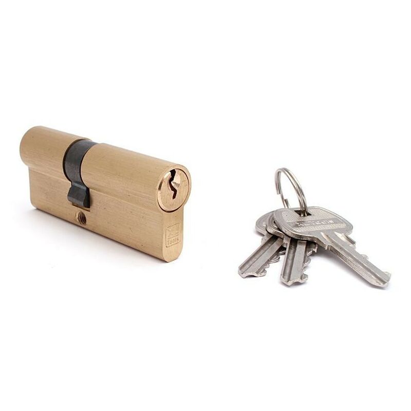 Sérrure GXL 20/20 mm clé en laiton EURO