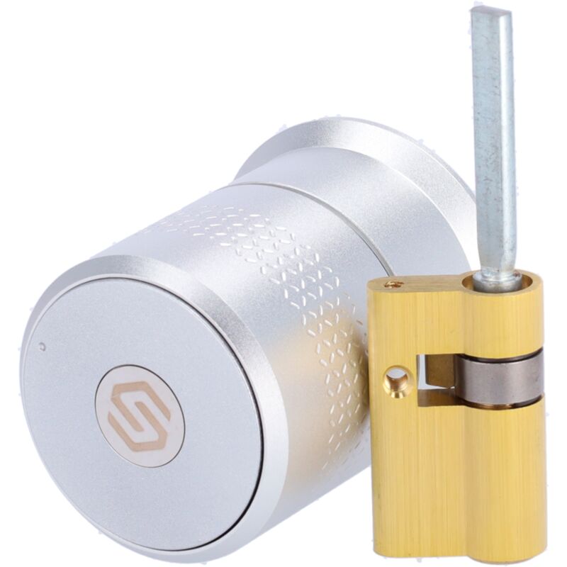 Serrure intelligente Bluetooth - Cylindre européen motorisé réglable - Utilisateurs invités sans être à proximité - Logements vides, familiaux et