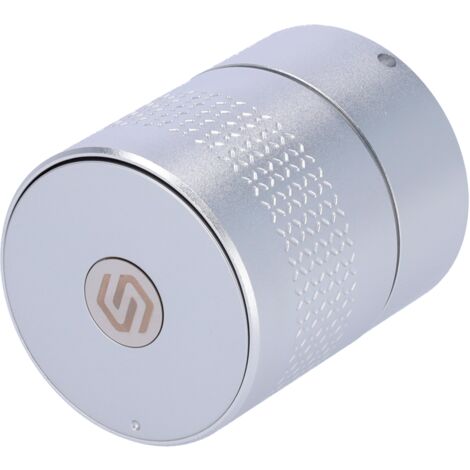 Serrure intelligente Bluetooth - Sans cylindre  convient aux cylindres tiers - Utilisateurs invités sans être à proximité - Logements vides, familiaux et locatifs - Moteur puissant pour les portes bli