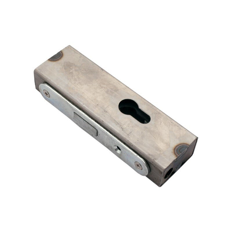 Serrure Pour Porte a Encastrer Cassette 30x50x170mm Zw2