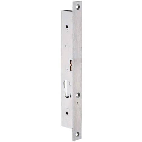 Metalux – Serrure verticale 2 points à encastrer – Système de verrouillage à 2 points – Têtière plate inox 255x22mm – Condamnation par 2 tours de clé
