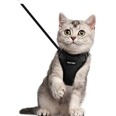 Service de table exclusif Pearl Cat avec laisse - 26 x 57 cm