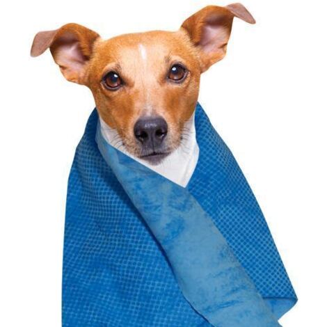 Serviette rafraichissante bleue