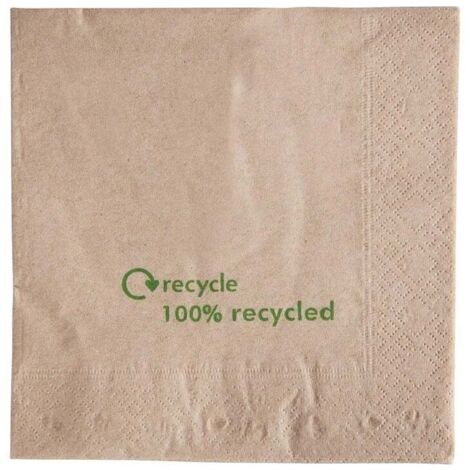 Serviettes double épaisseur en papier recyclé 330 mm - Carton de 2000