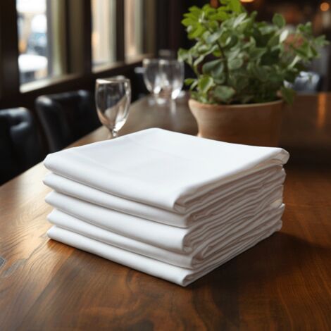 Serviettes en tissu blanches, lot de 10, 40 x 40 cm