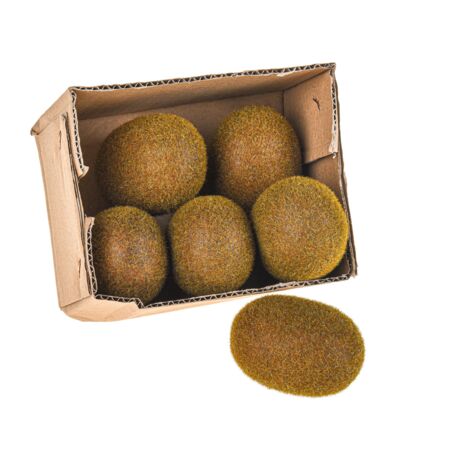 Set 12 Kiwi Artificiali Decorativi 8 cm