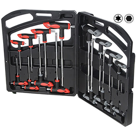 Set 16 Pcs Hex Et Torx Long T-handle Spanner Set Professional Case