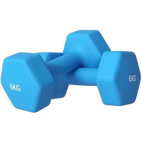 Set 2 Manubri Palestra 6 kg Pesi esagonali per Allenamento Azzurro
