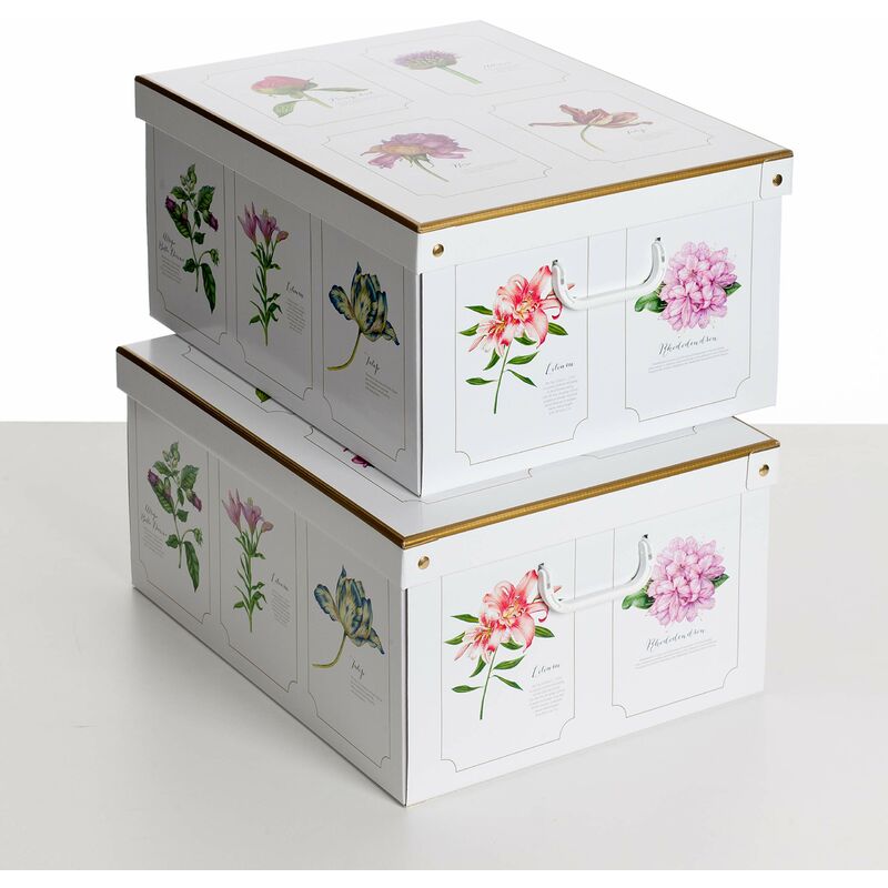 Image of Set 2 pezzi Scatole armadio in cartone, scatole per vestiti e biancheria, per cambio stagione, botanic 49x40xh24 cm. Scatole regalo con coperchio,