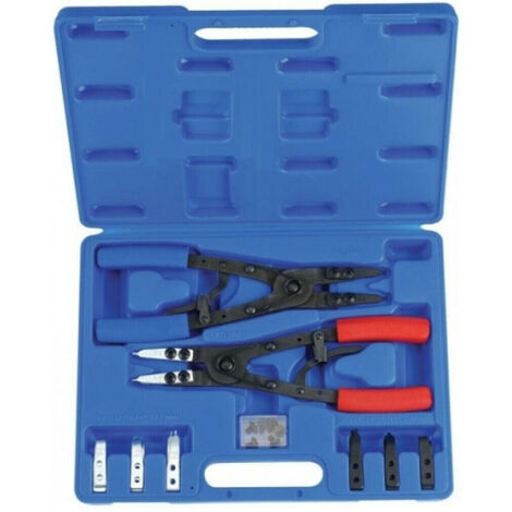 Set 2 Pinze With Intercambiable Punt For External Internal Eeager A.07210