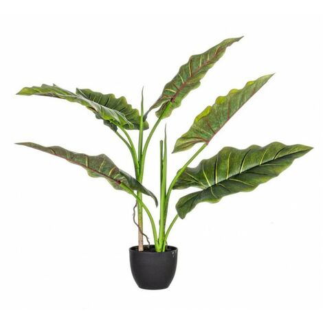 Set 4 Piante con Vaso Plastica Verde da Interno H78 cm - SERENICO