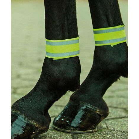 Set 4 fasce in pile con strisce catarifrangenti e chiusura a strappo : Taglia Unica , lemon/argento