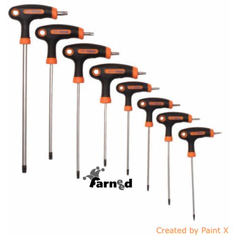 SET 9 PZ CHIAVI TORX A T CHROME VANADIUM TESTA CON FORO DA T10 - T50 HOT