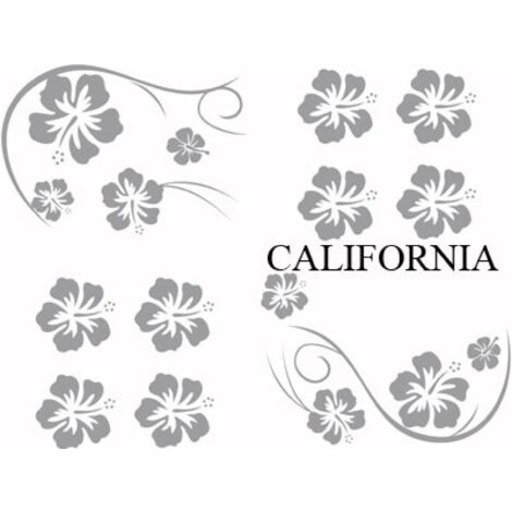 Set Adhesifs -ELEMENT CALIFORNIA- Gris - Car Deco