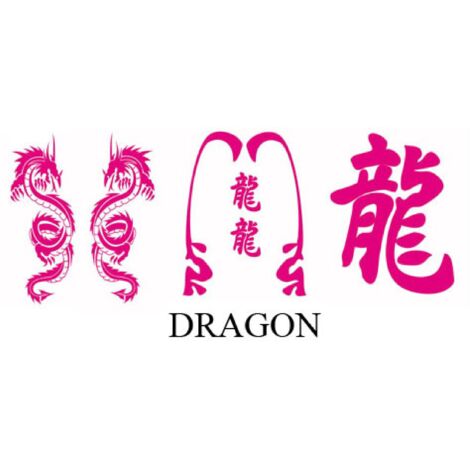 Set Adhesifs -ELEMENT DRAGON- Rose - PROMO ADN - Car Deco
