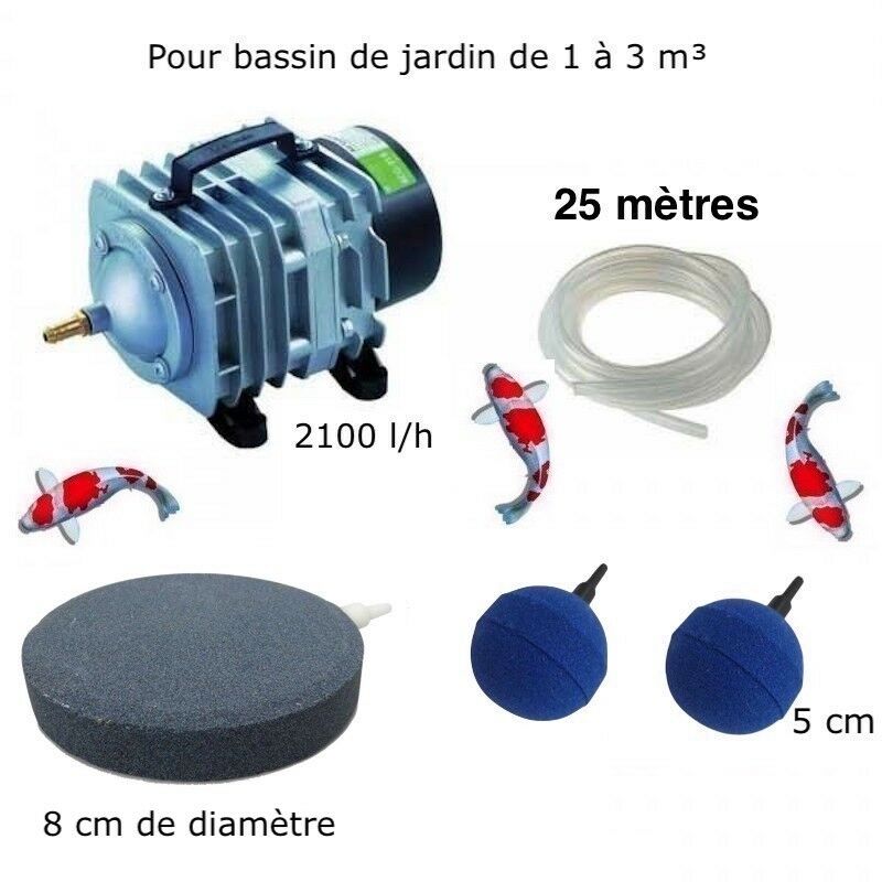 Le Poisson Qui Jardine - Set aerateur bassin 2 boules diffuseurs + 1 disque 8 cm Bassin De Jardin De 1000 à 3000 Litres
