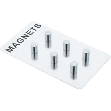 Set aus 6 Magneten für Notizen, Edelstahl, silber, ZELLER
