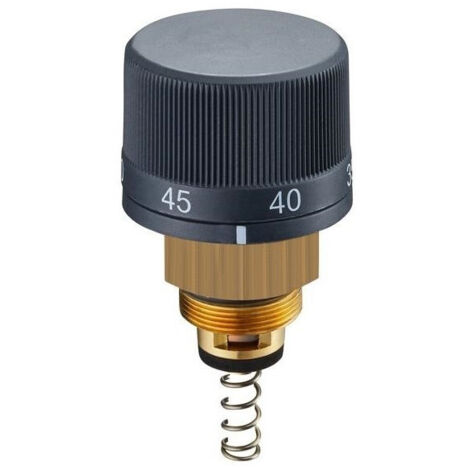 SET BYPASS TERMOSTATIZZATO PER REGUDIS WE