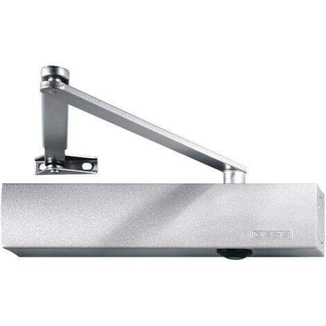 Set chiudiporta TS 4000 N / F argento EN 1-6