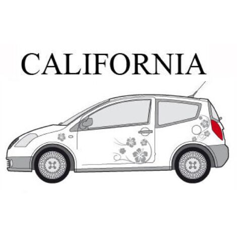 Set complet Adhesifs -CALIFORNIA- Argent - Taille M - Car Deco
