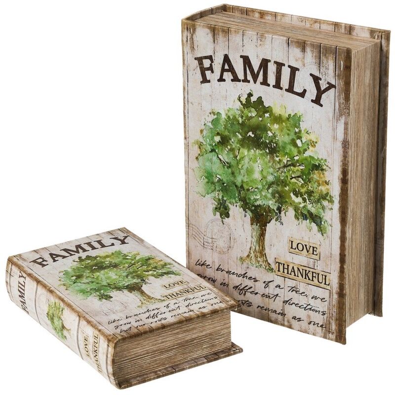 

Set de 2 cajas libro de MDF y seda de árbol beige y verde