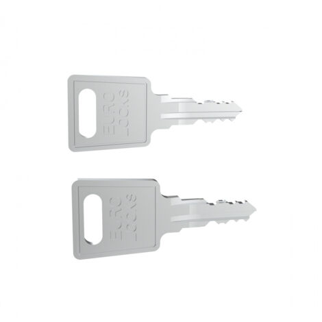 Set de 2 cles -code fh167- pour porte et panneaux lateraux baie linkeo ral 7016 (981079)