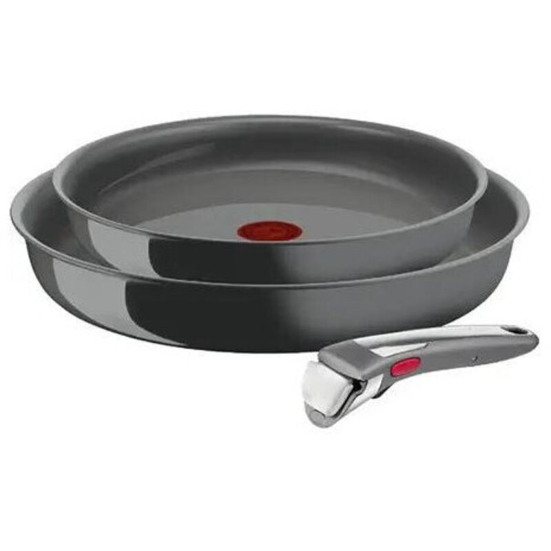 Batterie de cuisine Tefal SET POELES 24/28 CM + 1 POIGNEE AMOVIBLE GRIS HIPPO PREMIUM INGENIO RENEW INDUCTIONL2629202