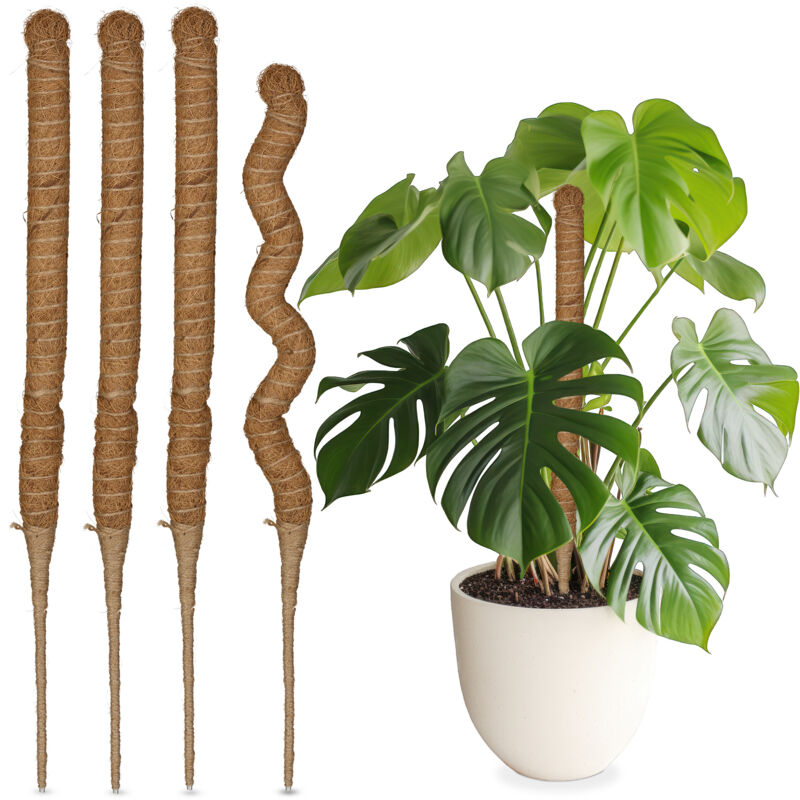 Relaxdays - Tuteurs en fibre de coco, lot de 5, pour monstera, photos, supports pour plantes d'intérieur, 60 cm, nature
