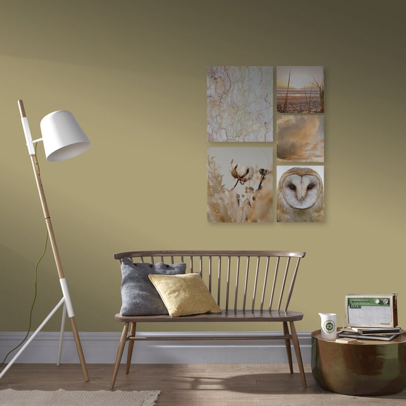 Set de 5 toiles imprimées Nature 80 x 60cm Sépia