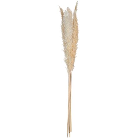 Set de 6 fleurs séchées Pampa naturelle   - Atmosphera créateur d'intérieur