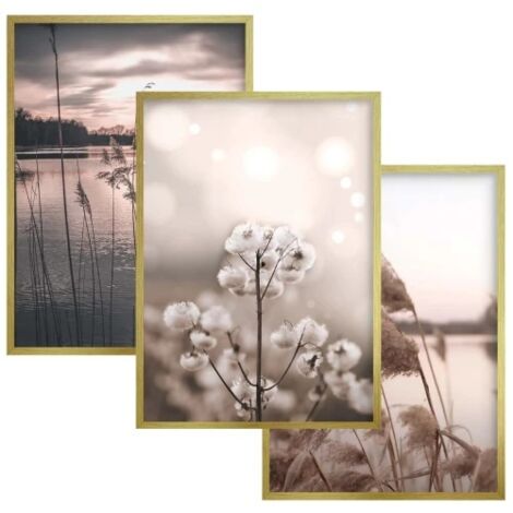 Set de carteles de pared 30x40 Marco dorado Cuadros para salón dormitorio Hierbas