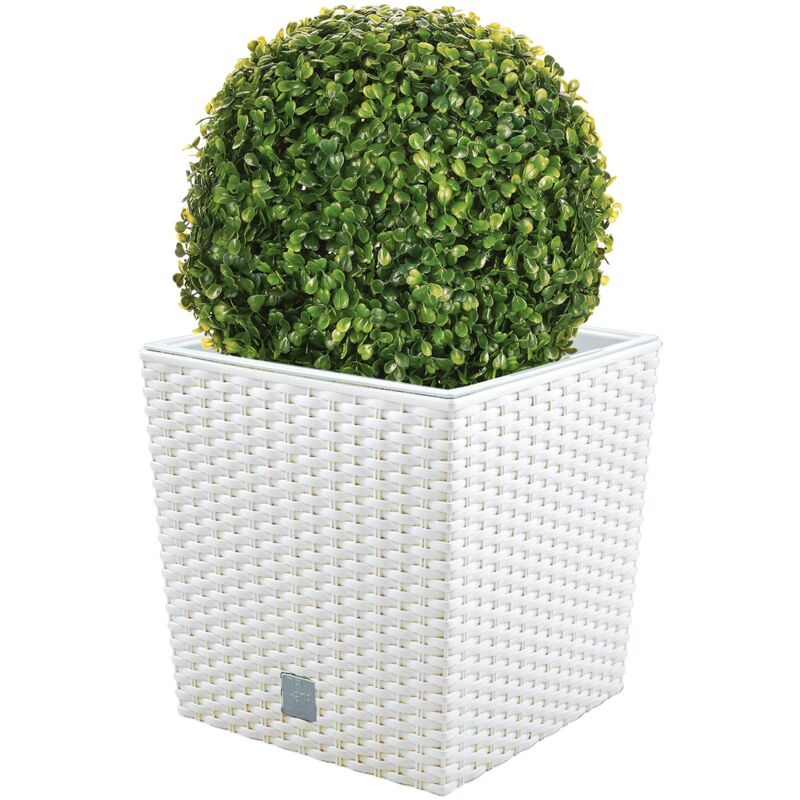 

Wellhome - Set de Maceta Rato 32 litros con cubilete para plantar en color blanco 33 x 33 x 33 cm + Bola de boj diámetro 27 cm