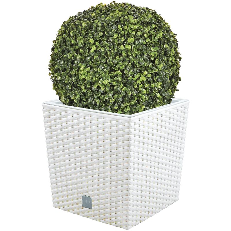 

Wellhome - Set de Maceta Rato 32 litros con cubilete para plantar en color blanco 33 x 33 x 33 cm + Bola de boj diámetro 36 cm