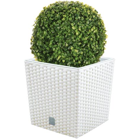 Set de Maceta Rato 32L con cubilete 33x33x33 cm y Boj Ø27 cm - Blanco