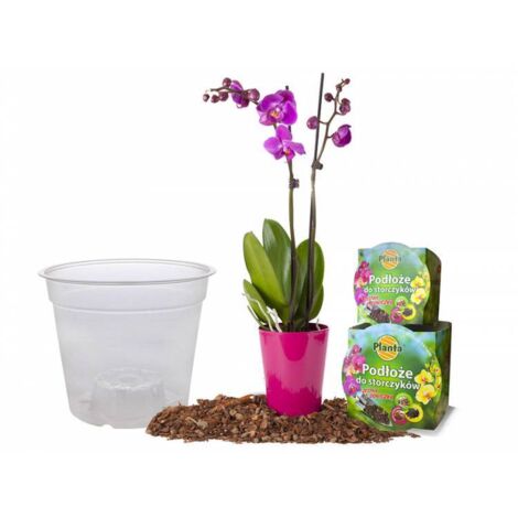 Set de tierra para orquídeas con maceta de 1,1 L