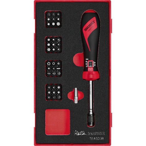 Set de tournevis dynamométriques Foam1 tray Plat- HEX- PH- PZ- ROB- TX- TPX 38 pièces Teng Tools TEASD38