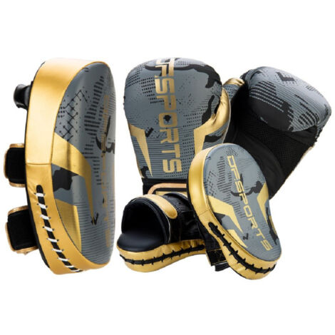 Set d'Entrainement Gants, Patte d'Ours & Pao Boxe 10oz Gris & Or