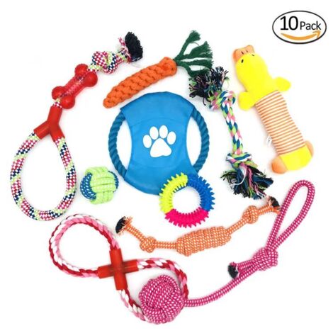 Set di 10 giocattoli da masticare per cani, giocattolo da masticare durevole e indistruttibile, corda per la dentizione per cani di piccola e media taglia, giocattolo interattivo per cani.