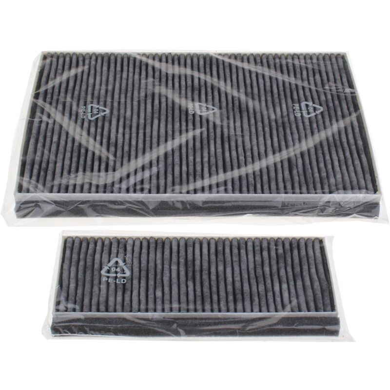 Set di 2 filtri a carbone attivi per Bosch Hood 11041790