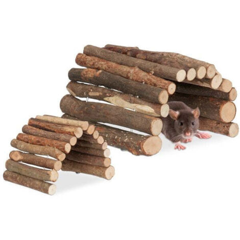 set di 2 ponti per roditori in legno 2 misure