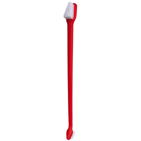 Set di 4 spazzolini da denti