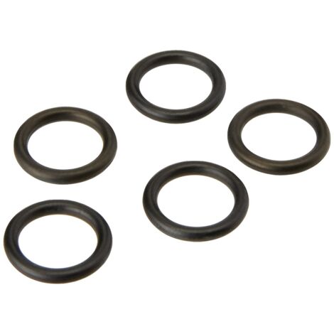 Set di 5 O-ring Kärcher 2.880-990.0