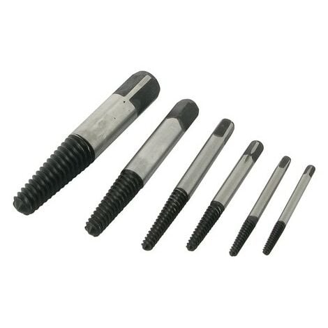 22pcs Set Di Estrattori Di Viti Danneggiate, Kit Di Estrattori Di Viti  Strappate Facile Da Usare, Rimuovi Viti Per Estrattore Polivalente, Porta  Bit Di Estensione Magnetica E Adattatore Per Presa