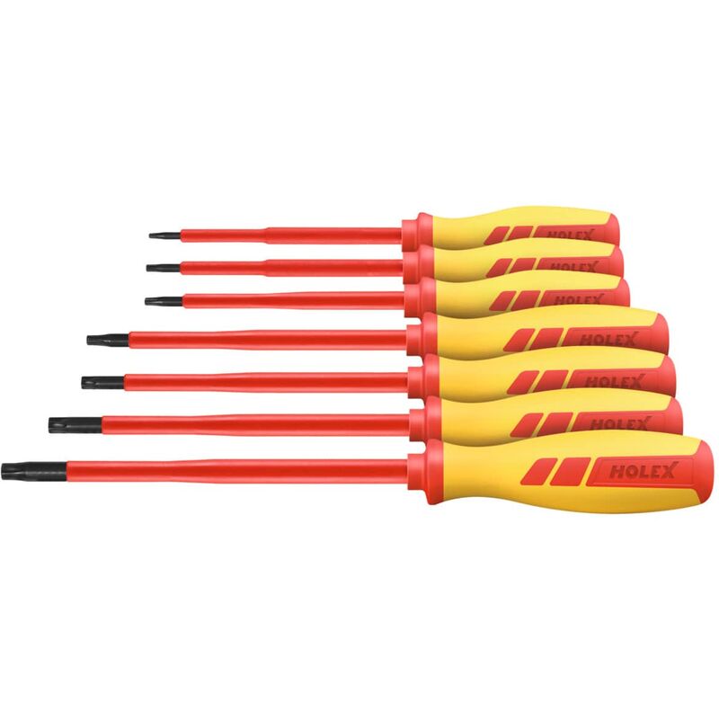 Holex - Set di giraviti per viti Torx interamente