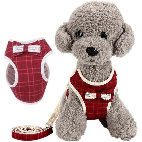 Set di guinzagli anti-tiro per cani di piccola taglia, per gatti e cani di piccola taglia da 6 a 10 kg, con guinzaglio da 120 cm e cinturino regolabile, rosso, taglia M
