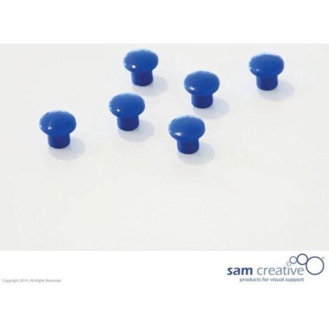 Set di magneti Memo 10 mm blu