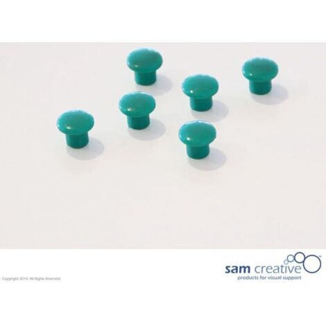 Set di magneti Memo 10 mm verde