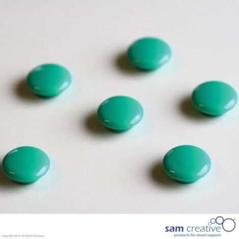 Set di magneti Memo 20 mm verde