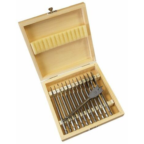 SET DI PUNTE DA TRAPANO PER LEGNO 6-25 mm 13 pz BEAST