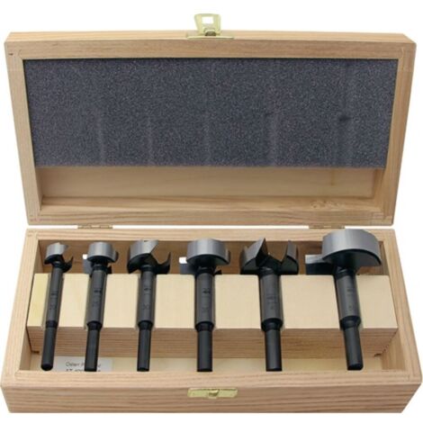 Set di punte Forstner Tipo 0317 5 pezzi D.15,20,25,30,35mm
